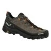 Salewa "Alp Trainer 2 GTX M" - Bungee Cord -Günstiges Alpen Mode Geschäft 2450c9ed 3586 482a be64 b7cbf8e9c4bb salewa