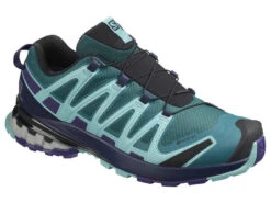 Salomon Trailrunningschuh "XA PRO 3D V8 GTX W" - Shaded Spruce